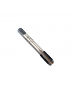 Machos bsp cono 2 (paso a...