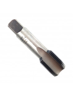 Machos bsp cono 2 (paso a...