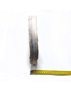 Pano cosido 12 pulg 4H 2