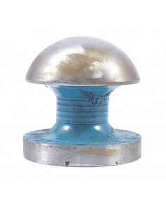 Aguantador Hongo Rico 2